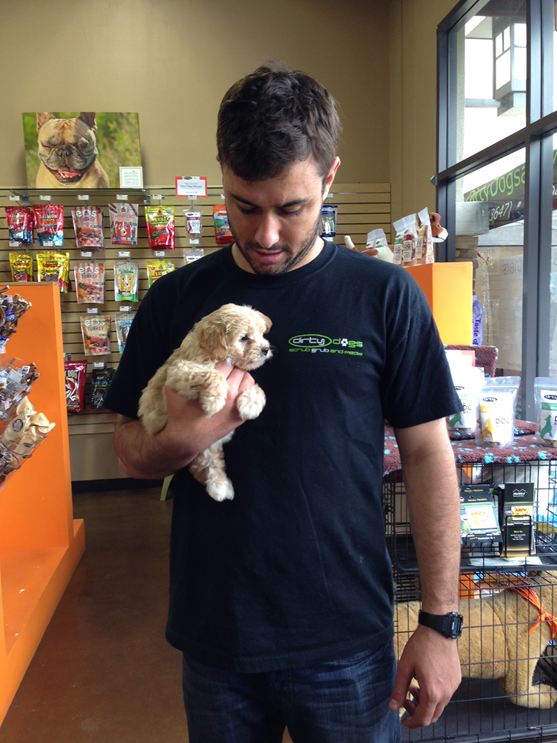 Dirty Dogs Carlsbad Grand Opening — Ranch & Coast Magazine