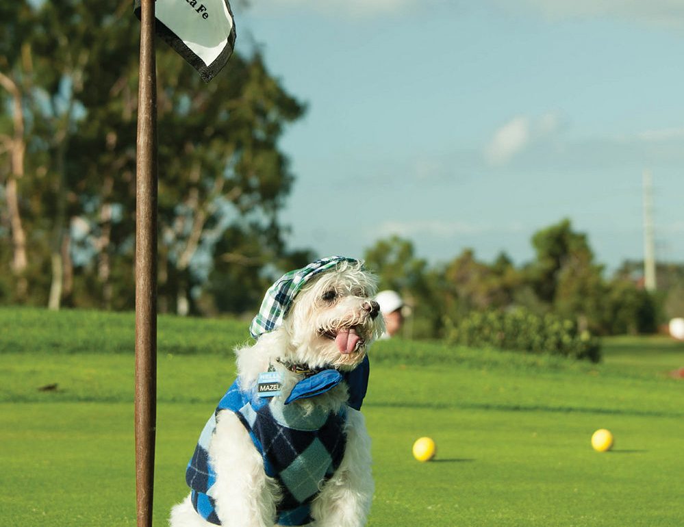 Teeing Off for the Animals
