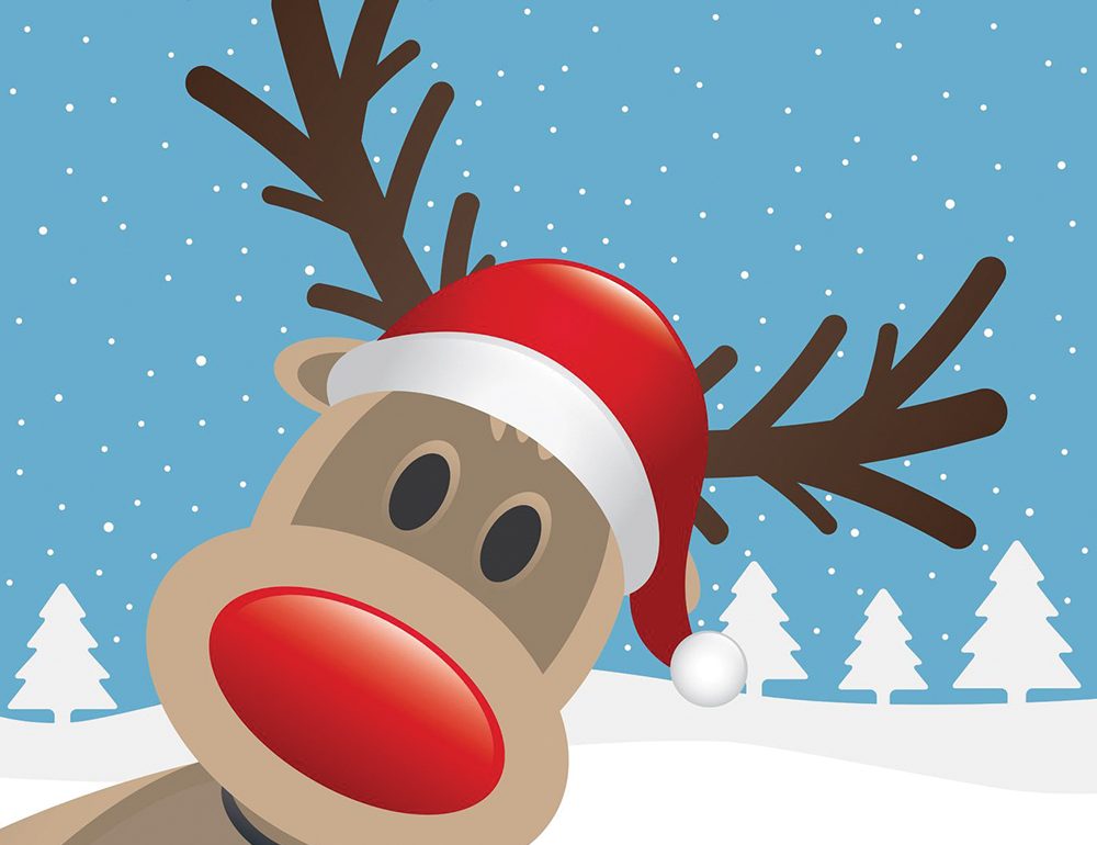 Red Nose Run