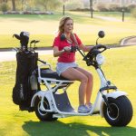 Fat Tire Personal Electric Golf Scooter