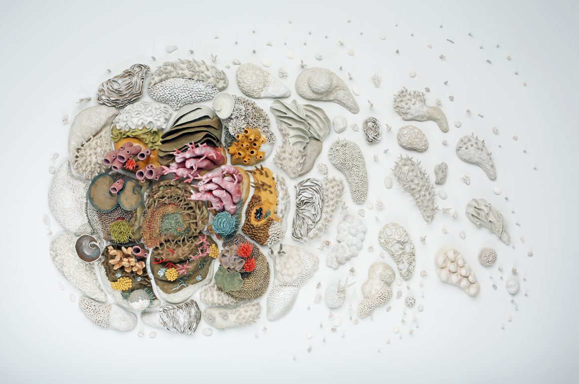 Our Changing Seas