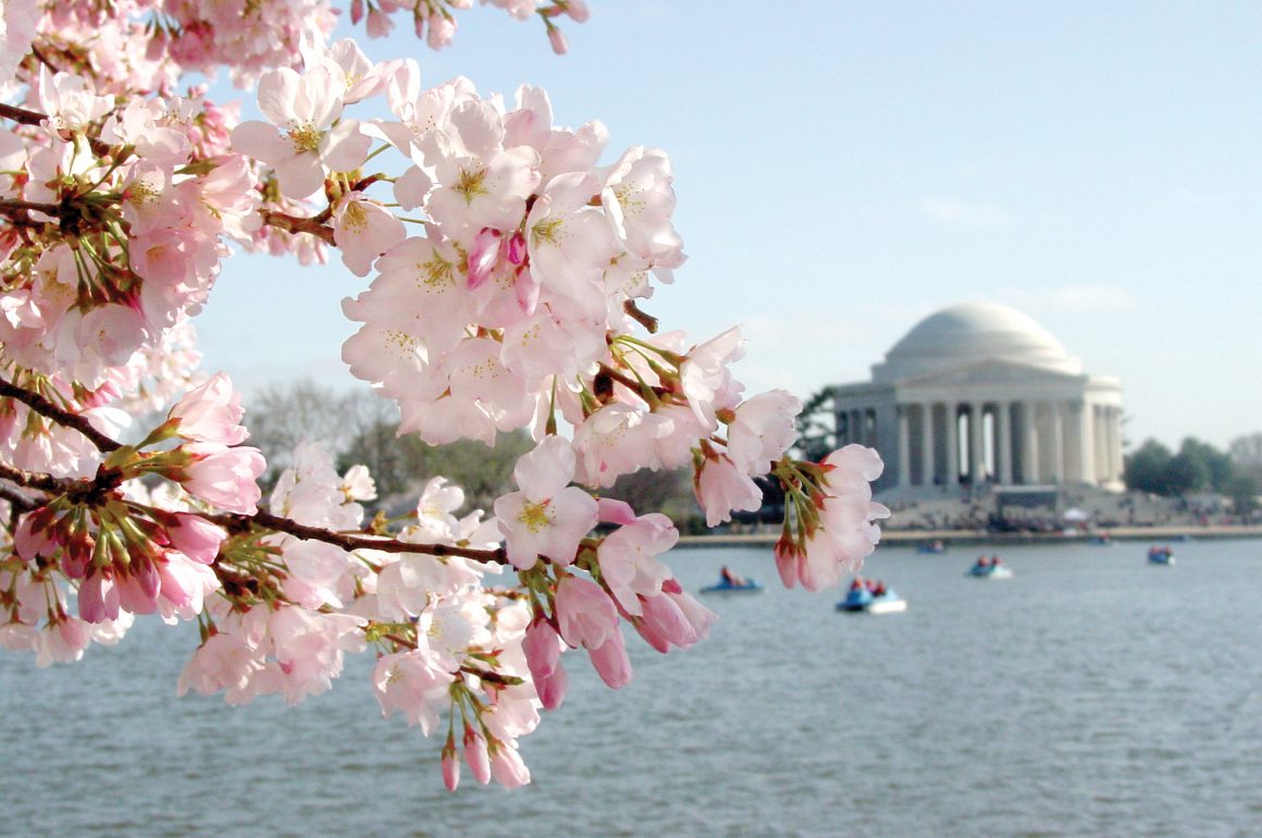 Washington D.C.