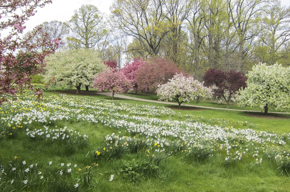 Great Spring Gardens