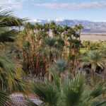 The Oasis at Death Valley