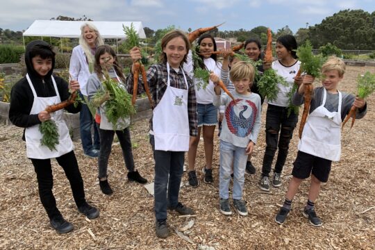 Sage Garden Project