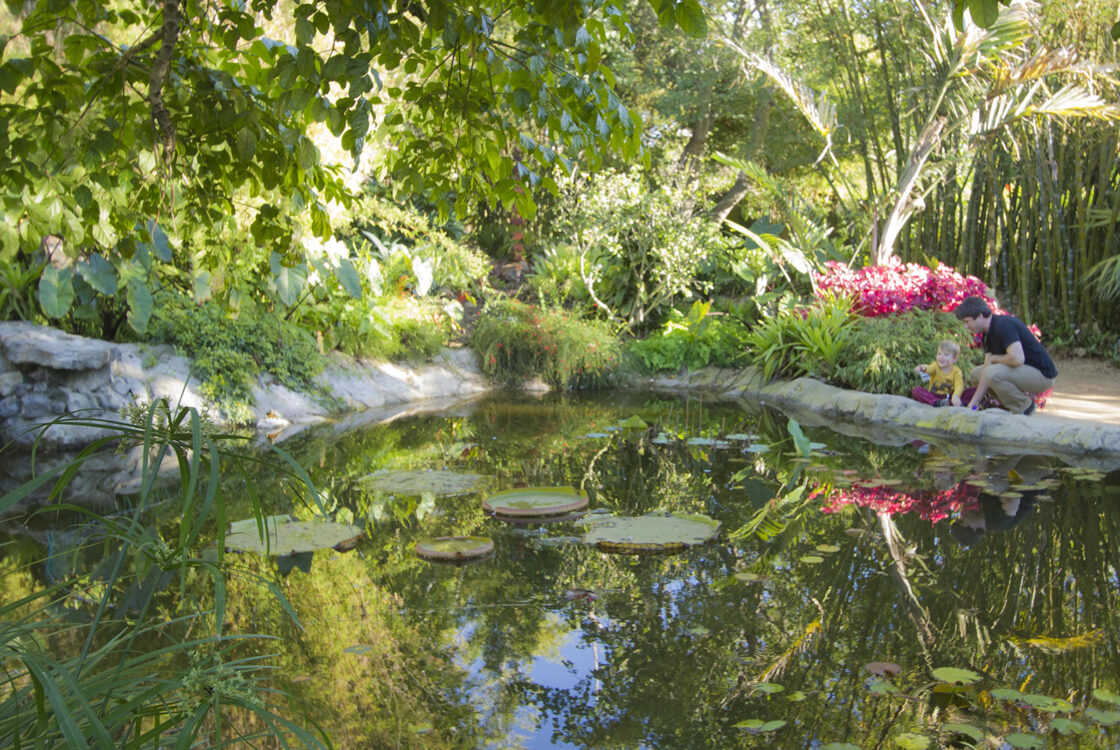 San Diego Botanic Garden