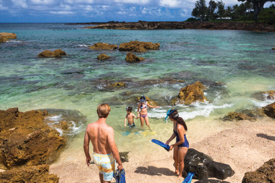 Shark’s Cove on the North Shore of Oahu is a great place to snorkel