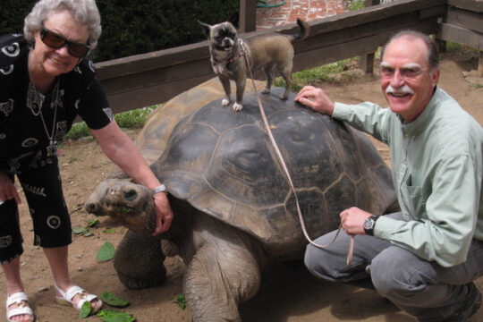 Lois Dickson and Julian Duval posing with tortoise Sam in 2010