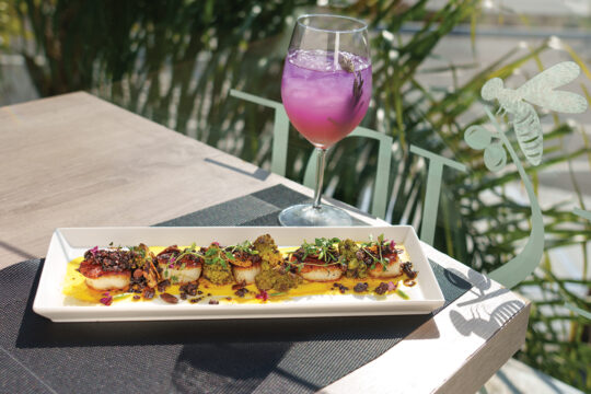 Beeside Balcony’s Seared Scallops, Spanish chorizo, sautéed Romanesco cauliflower, almonds, mango citrus sauce, and truffle oil paired with a “Lavender’s Bee’s Knees”