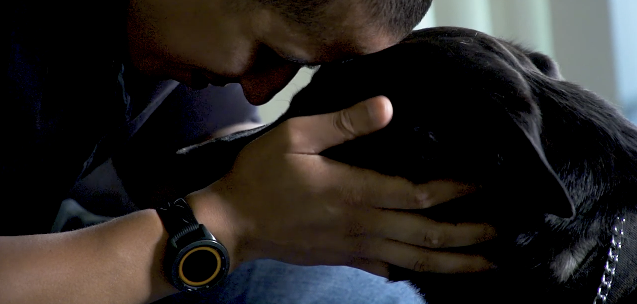 A video still of Shelter to Soldier USMC veteran and his rescued service dog