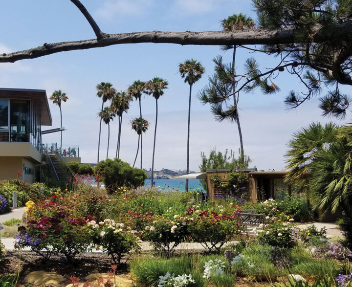 This charming garden on the Scripps Institution of Oceanography campus is nestled between historic buildings and a chic cafe