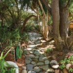 A stone path winds through the property flanked by trees planted by Kate Sessions and nurtured by Leah and Pat Higgins
