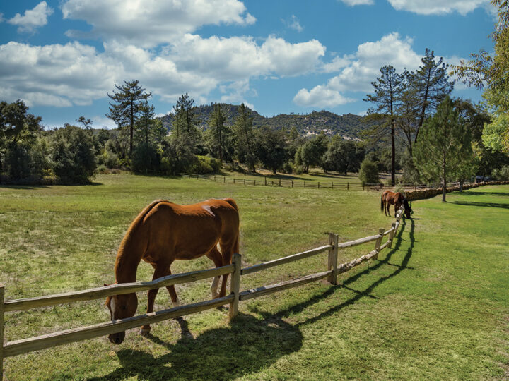 Horses graze on the 13-acre property