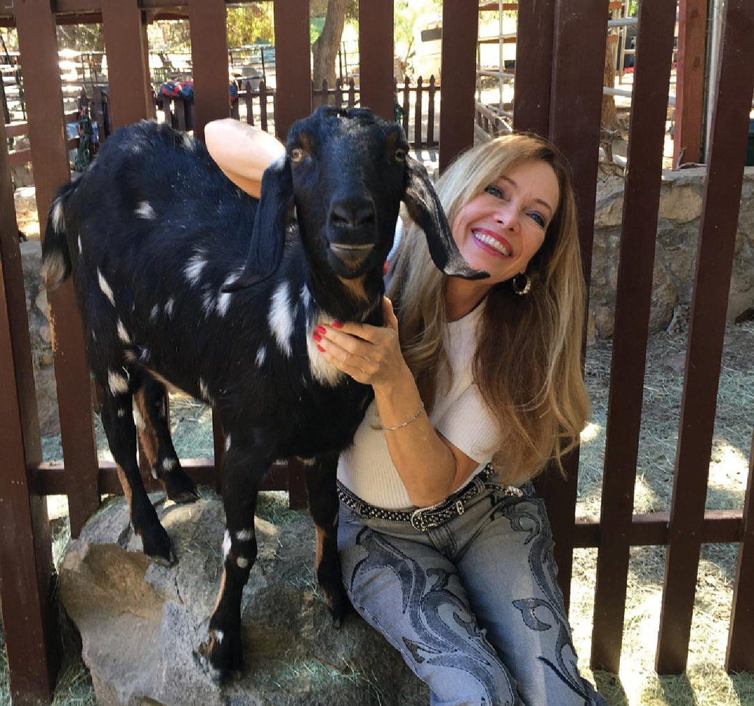 Tea3 Foundation’s Susan Lane Leonard at Paradise Dreams Animal Sanctuary