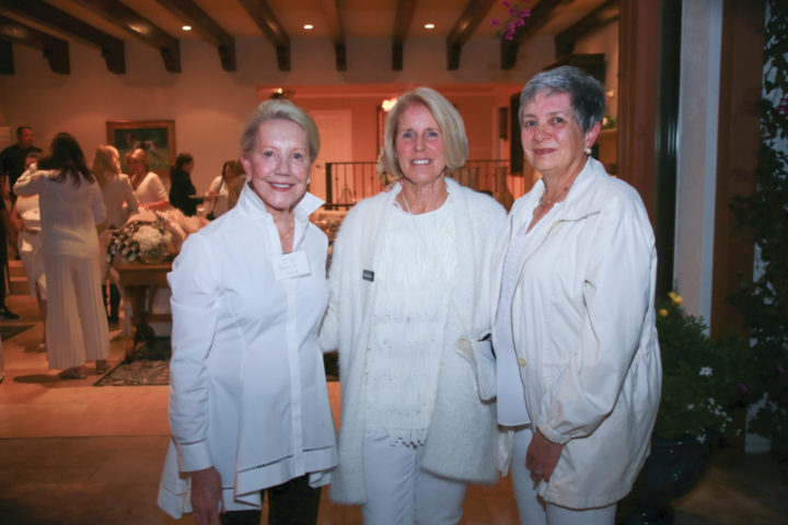 Diane Pennock, Kathy Stumm, and Cathy Sage