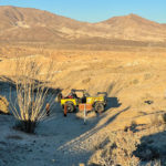California Overland takes visitors to the most scenic spots in the park