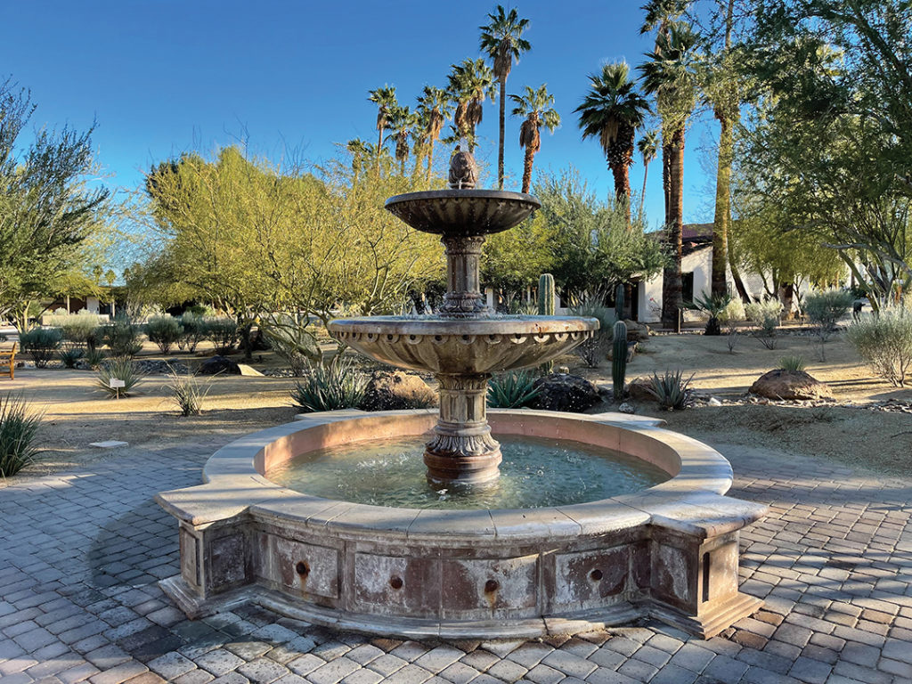 Casa del Zorro is an oasis in the desert with countless activities set amid peaceful grounds