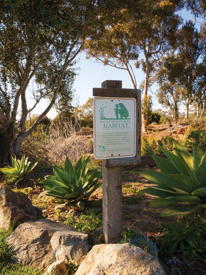 The backyard overlooks a wildlife habitat certified by the National Wildlife Federation