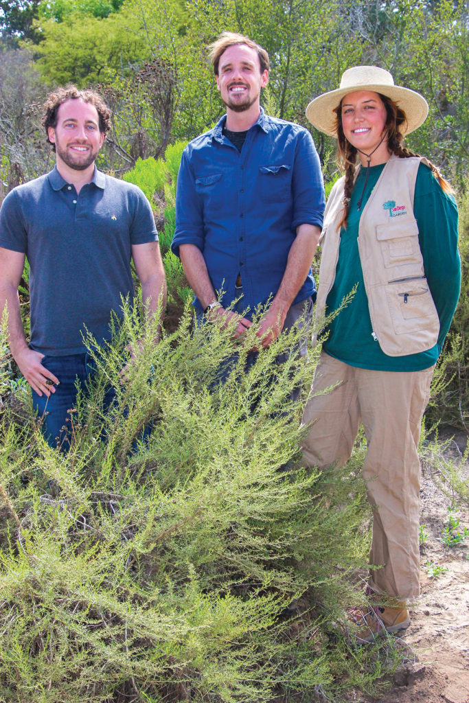 San Diego Botanic Garden Director of Medicinal Plants Research Benjamin Naman, PhD, Curator of Collections Jeremy Bugarchich, and Medicinal Plant Technician Emma Suster