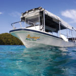 Swing knows the best dive spots and the most scenic places for lunch