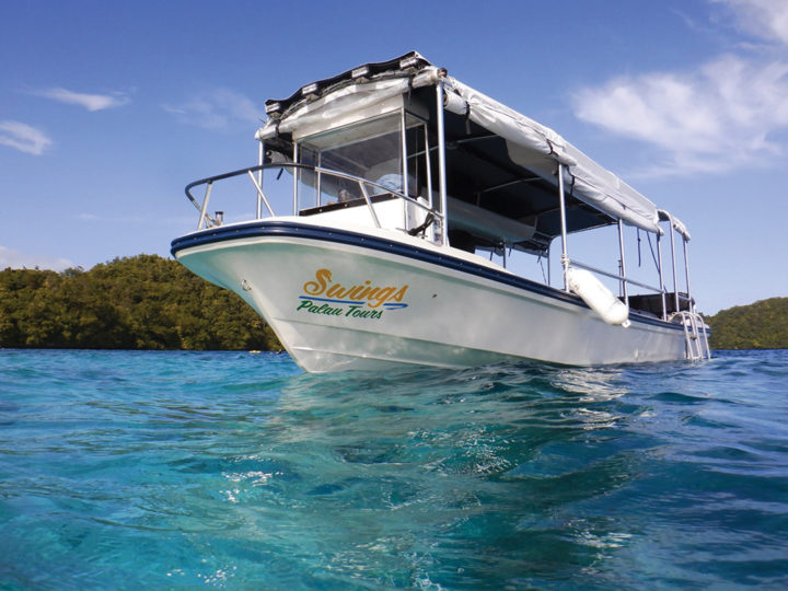 Swing knows the best dive spots and the most scenic places for lunch