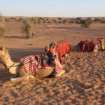 Desert safaris are an exciting way to explore the Middle East