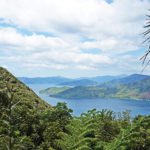 New Zealand is renowned for beautiful hiking trails
