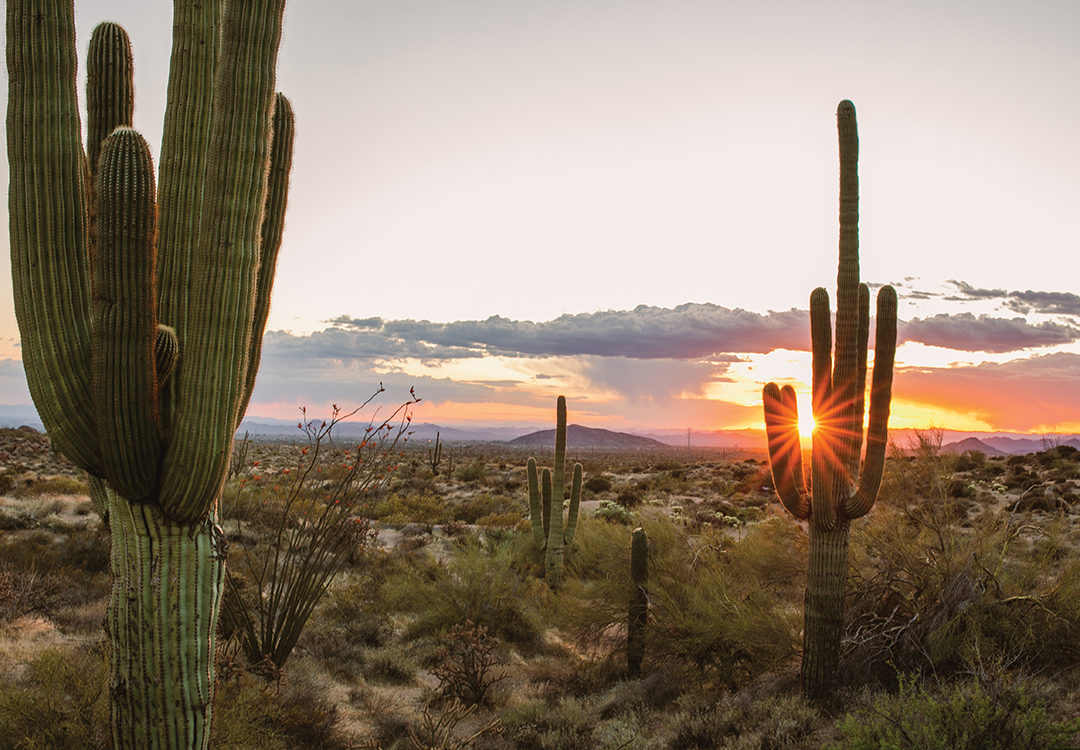 The sun sets over the Sonoran Desert at Brown’s Ranch in Scottsdale’s McDowell Sonoran Preserve
