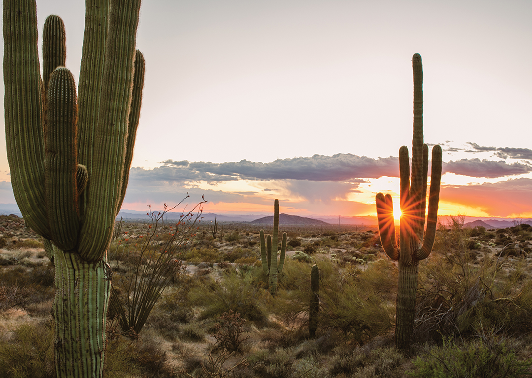 The sun sets over the Sonoran Desert at Brown’s Ranch in Scottsdale’s McDowell Sonoran Preserve