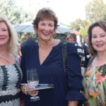 Marian Benassi, Julie Tafel Klaus, and Linda Howard