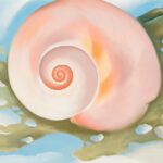 Georgia O’Keeffe, Pink Shell with Seaweed, ca. 1938. Pastel on paper.