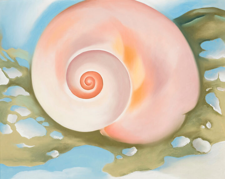 Georgia O’Keeffe, Pink Shell with Seaweed, ca. 1938. Pastel on paper.
