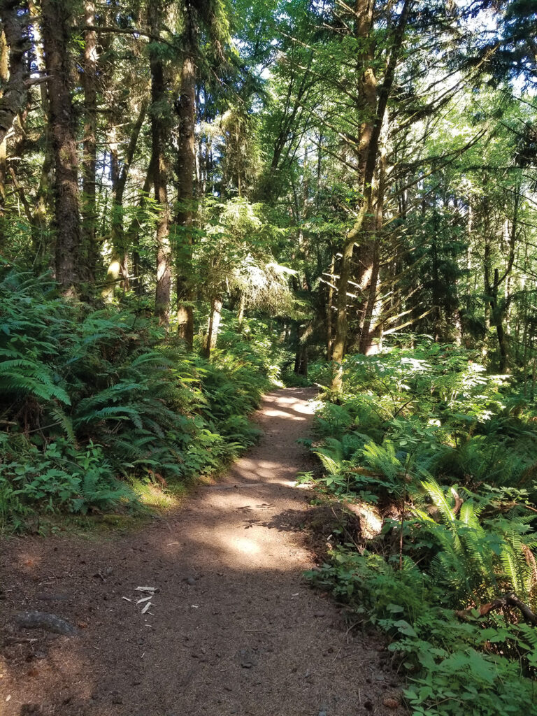 The lush Indian Beach Trail in Ecola State Park also offers great sea views