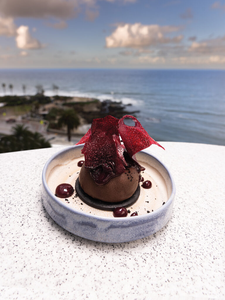 Dark Chocolate Mousse: blueberry-cassis compote, chocolate sorbet, black cocoa sable