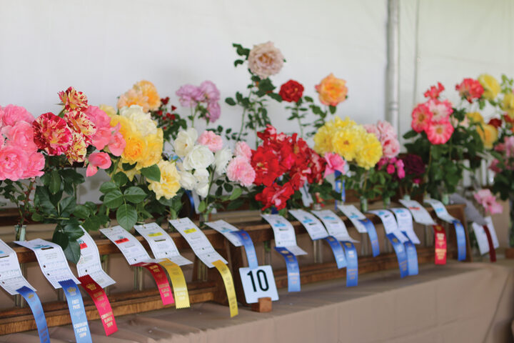 Coronado Flower Show