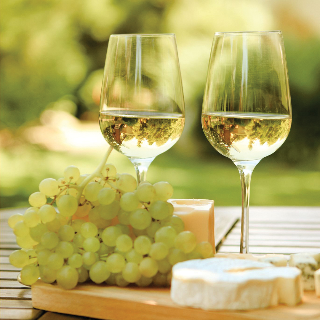 Encinitas Rotary Wine & Food Festival