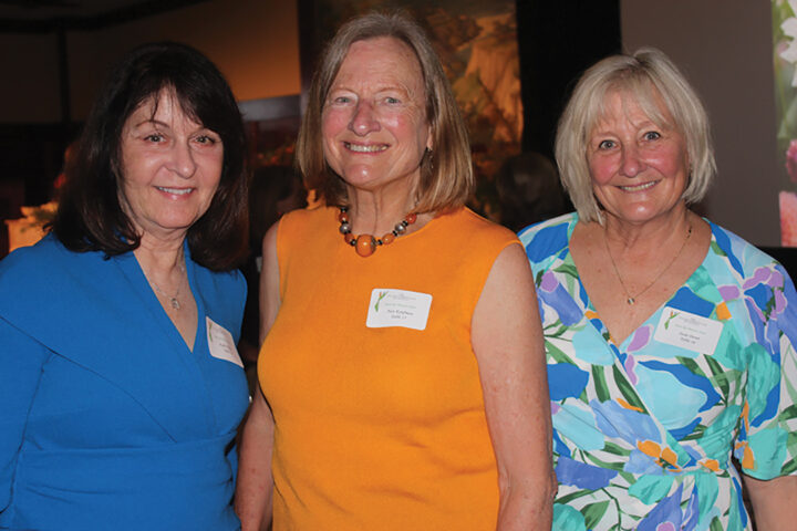 Kathy Rains, Nan Kaufman, and Susie Dentt