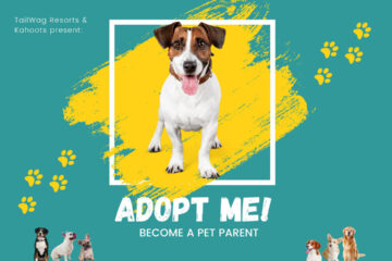 TailWag Resorts Dog Adoption Day