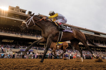 Breeders’ Cup Festival Week