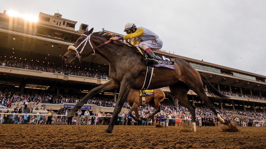 Breeders’ Cup Festival Week