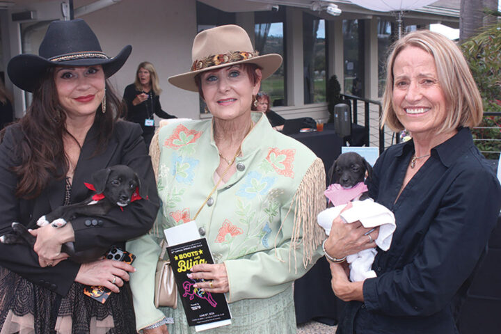 Jessica Gercke, Mitzi Lobelson, and Kathleen Clark