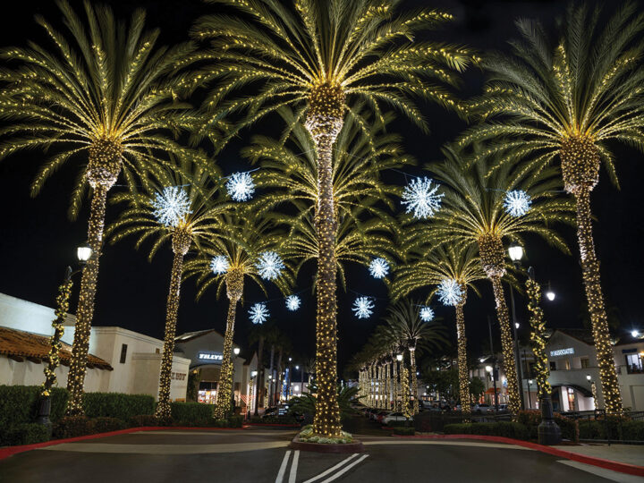 Holidays at The Forum