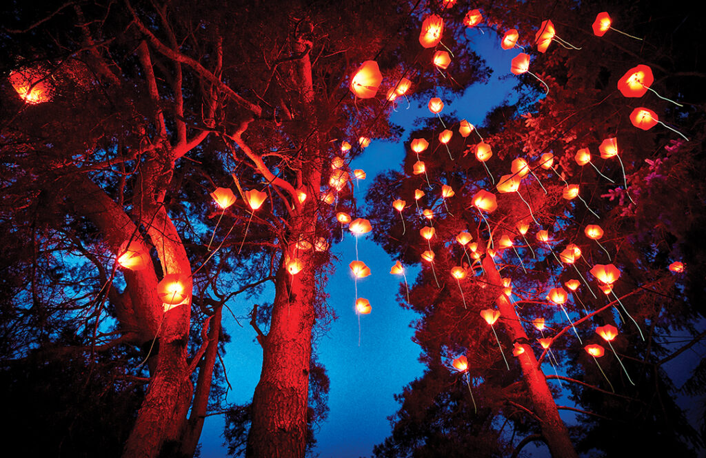 Lightscape at the San Diego Botanic Garden