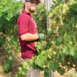 D’Vine Path is an educational program on an eight-acre working farm and vineyard in Fallbrook