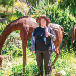 D’Vine Path is an educational program on an eight-acre working farm and vineyard in Fallbrook