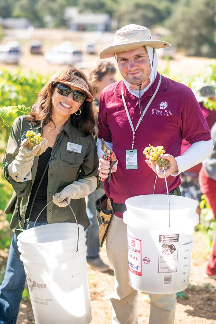 D’Vine Path is an educational program on an eight-acre working farm and vineyard in Fallbrook