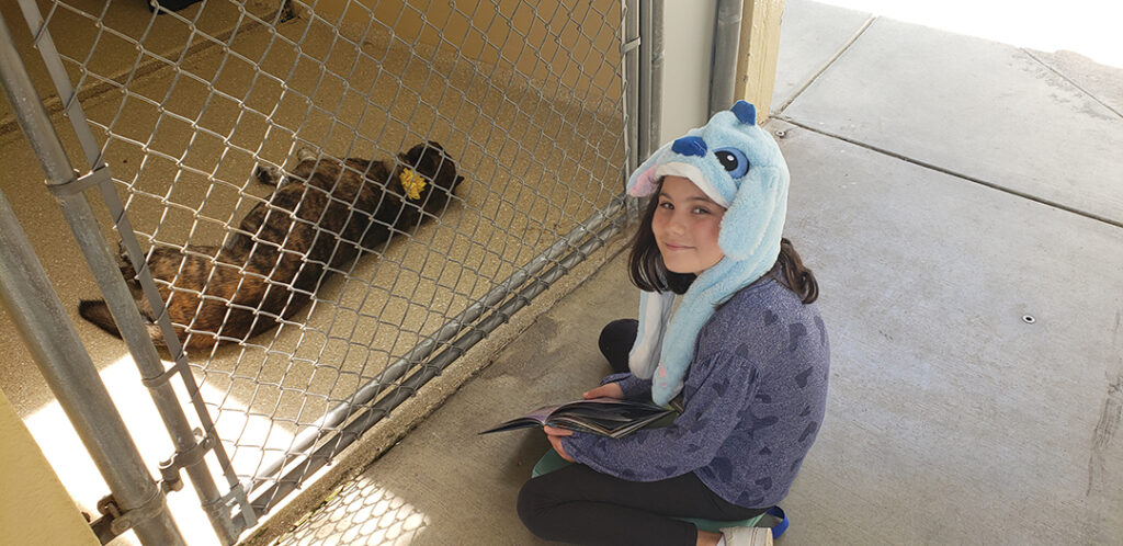 Rancho Coastal Humane Society’s Happy Tales program engages local students to improve their reading skills while offering comfort to shelter dogs