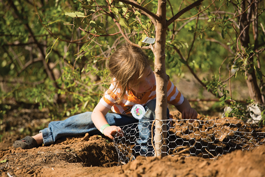 Tu B’Shvat Food Forest Festival