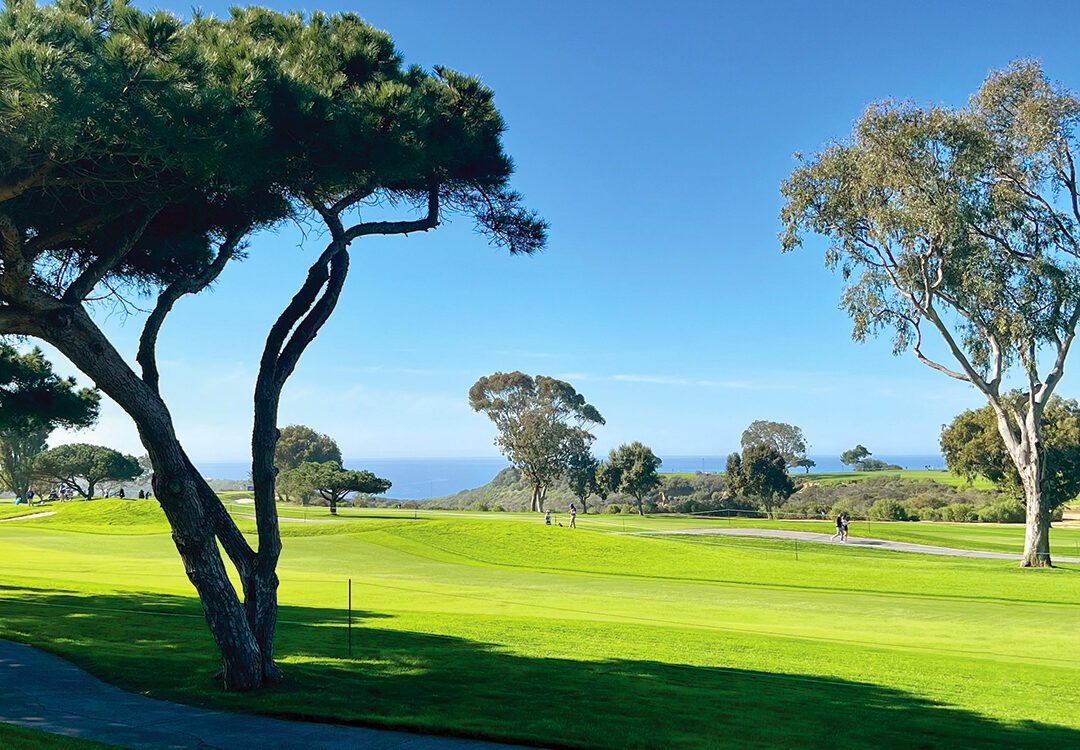 Torrey Pines Golf Course