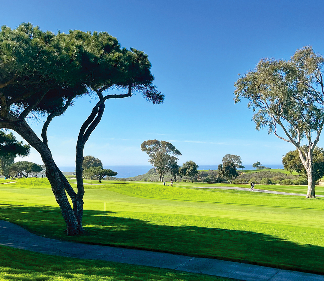 Torrey Pines Golf Course